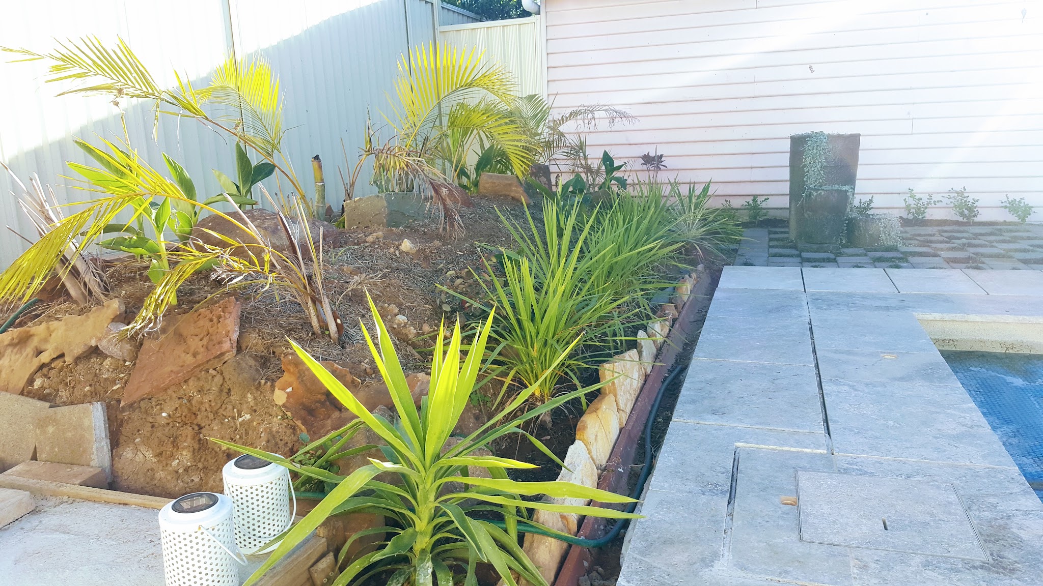 A poolside garden bed being replanted, with sandstone edging and new palms and cordylines going in.