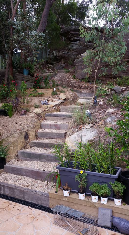 Timber and gravel steps built into a sandstone outcrop, with new plants staged ready to go in.